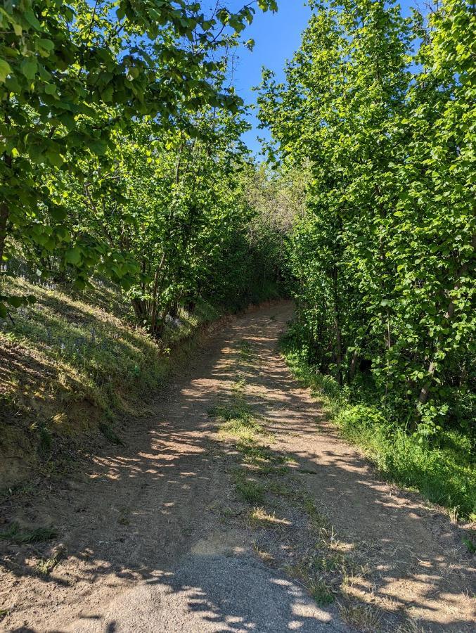 Cascina Cortese Vigliano d'Asti Εξωτερικό φωτογραφία